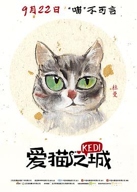 爱猫之城英语